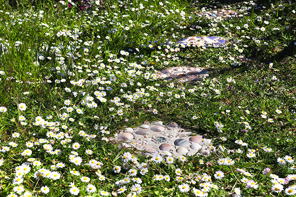 A grassy garden path with white daisies and stone pavers featuring embedded seashells.