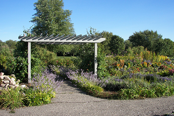 A gravel path leads under a white wooden pergola into a garden with flowering plants, greenery, and trees in the background under a clear blue sky.
