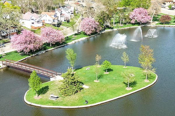 A small grassy island with benches and trees sits in a pond, surrounded by water fountains and blooming pink trees, with houses in the background.