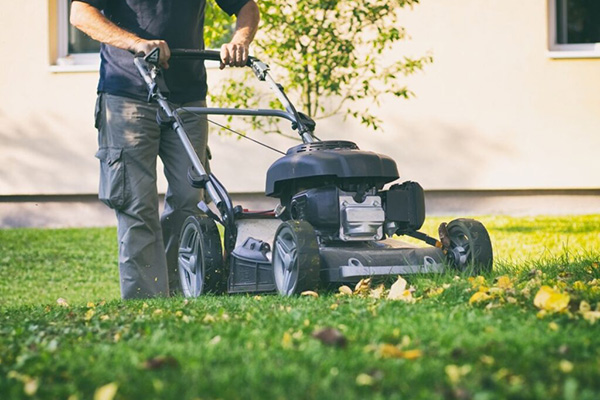 Person mowing a lawn with a push lawnmower on a sunny day, surrounded by scattered leaves.