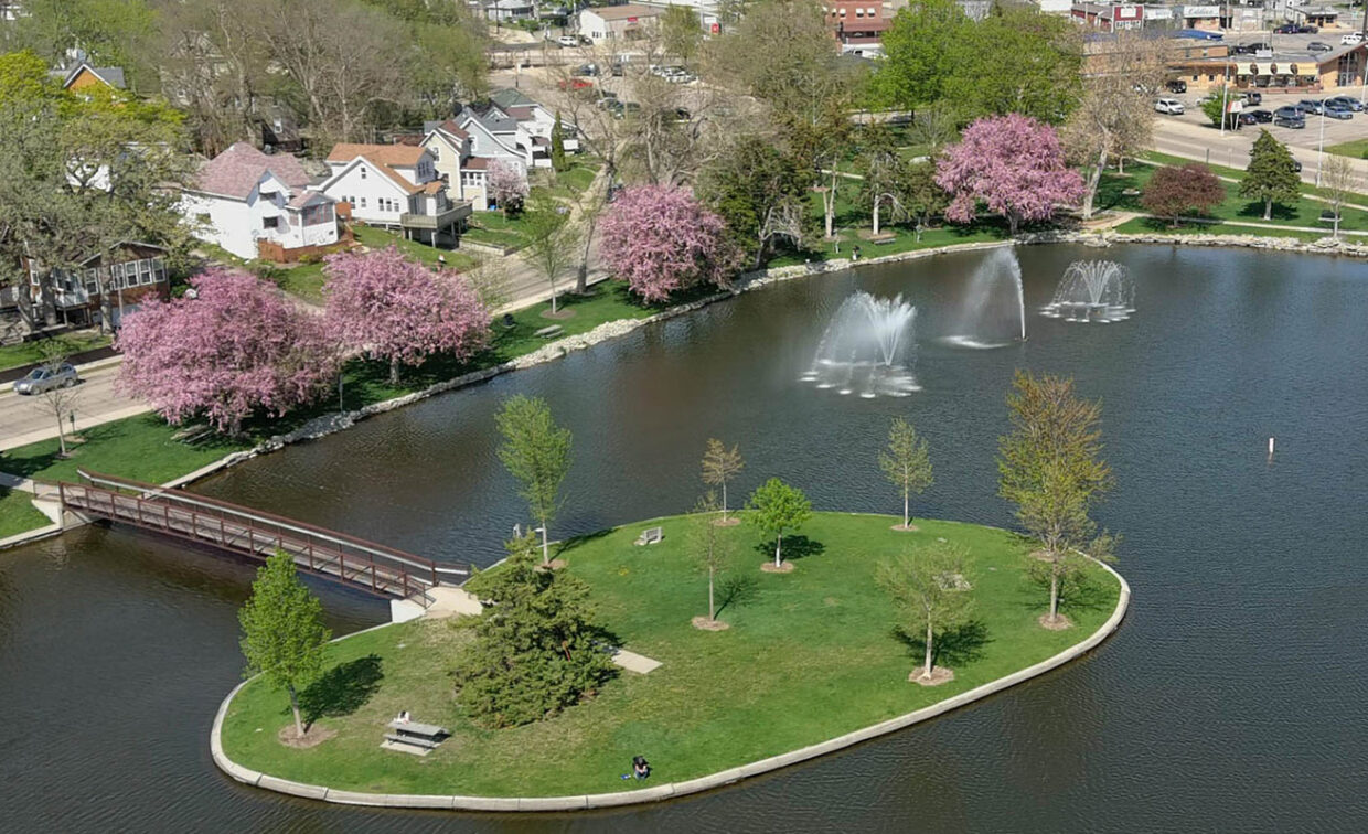 Aerial view of a small park island with trees and benches in a pond, surrounded by blooming pink trees, fountains, a footbridge, and nearby residential houses.