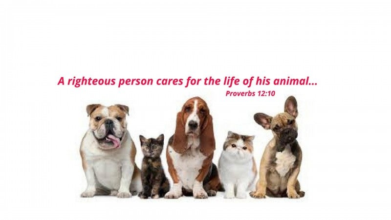 565819068-1345419157595328-6382983350697876614-n